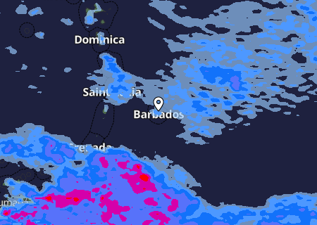 Niederschlagsprognose