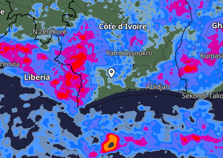 Niederschlagsprognose Niederschlagsprognose
