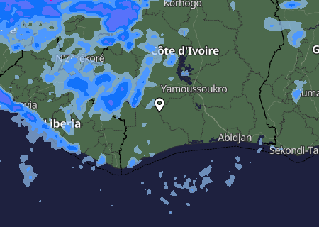 Niederschlagsprognose