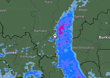 Niederschlagsprognose