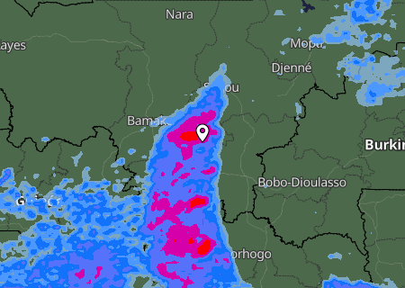 Niederschlagsprognose