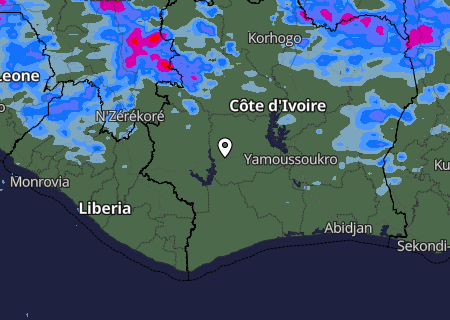 Niederschlagsprognose Niederschlagsprognose