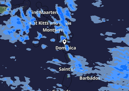 Niederschlagsprognose