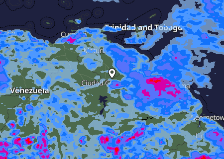 Niederschlagsprognose