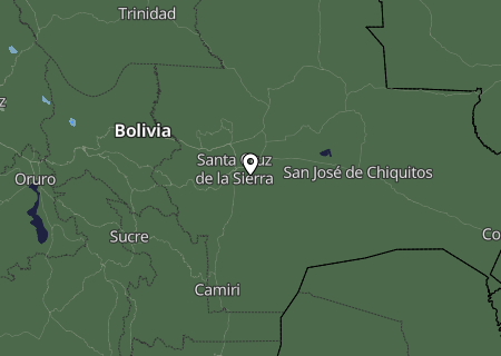 Niederschlagsprognose