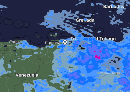 Niederschlagsprognose