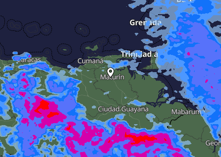 Niederschlagsprognose