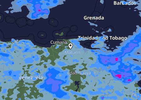 Niederschlagsprognose