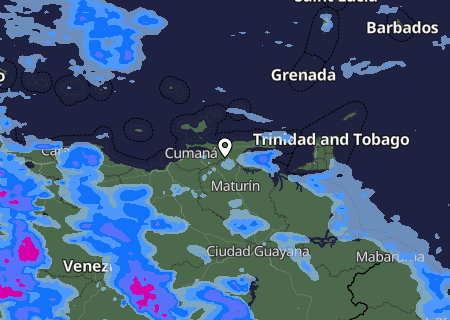 Niederschlagsprognose