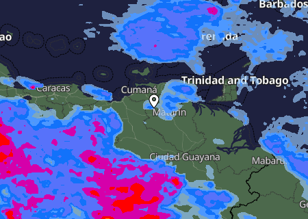 Niederschlagsprognose