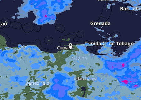 Niederschlagsprognose