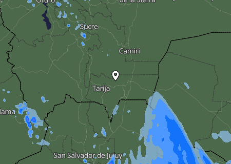Niederschlagsprognose