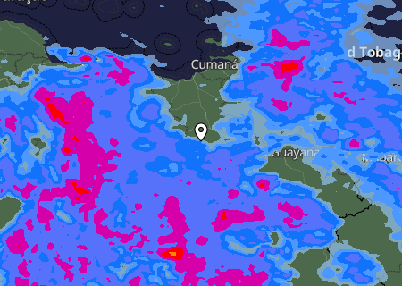 Niederschlagsprognose