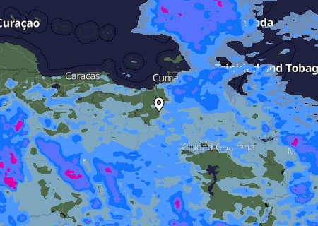 Niederschlagsprognose