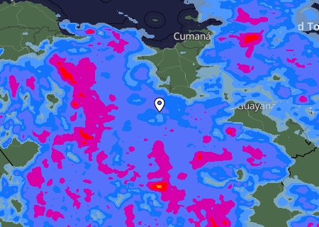 Niederschlagsprognose