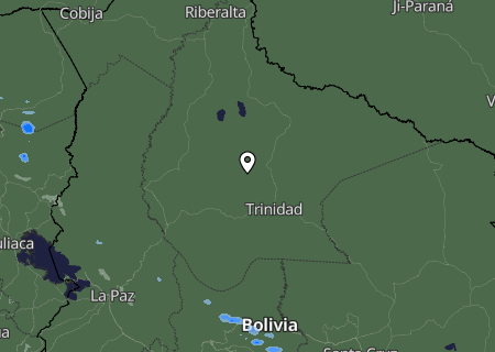 Niederschlagsprognose