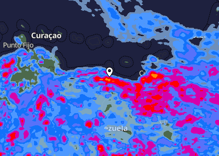 Niederschlagsprognose
