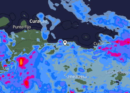 Niederschlagsprognose