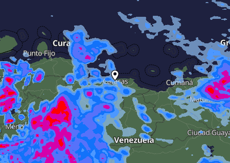 Niederschlagsprognose