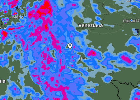 Niederschlagsprognose