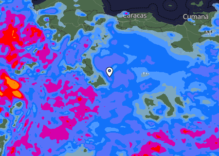 Niederschlagsprognose