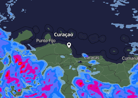 Niederschlagsprognose