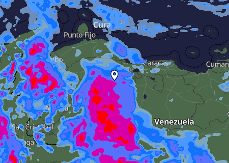 Niederschlagsprognose
