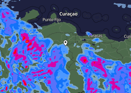 Niederschlagsprognose