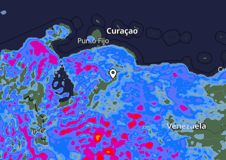 Niederschlagsprognose