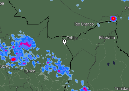 Niederschlagsprognose