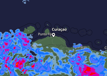 Niederschlagsprognose