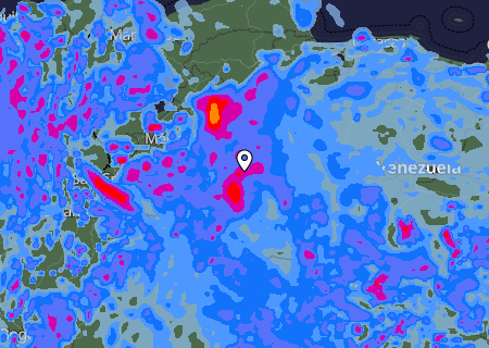 Niederschlagsprognose