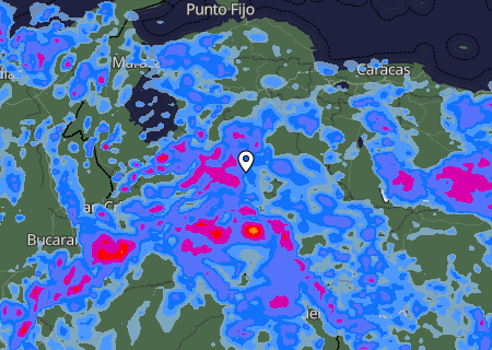 Niederschlagsprognose