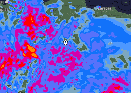 Niederschlagsprognose