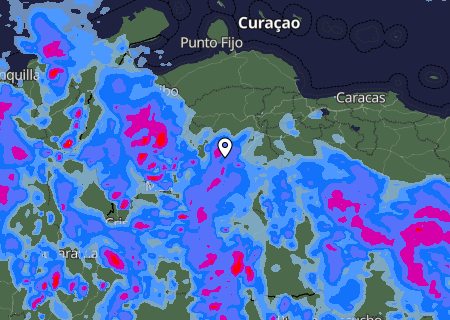 Niederschlagsprognose