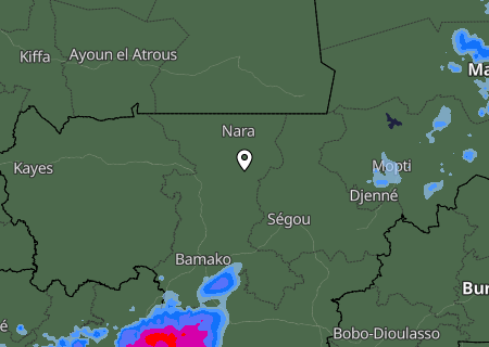 Niederschlagsprognose