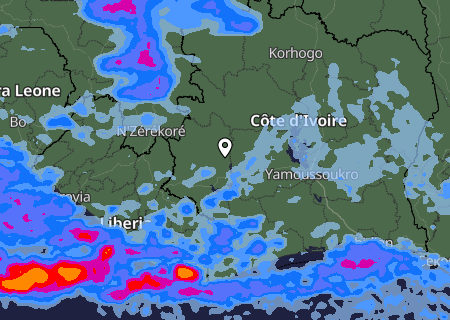 Niederschlagsprognose