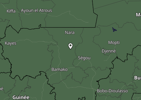 Niederschlagsprognose