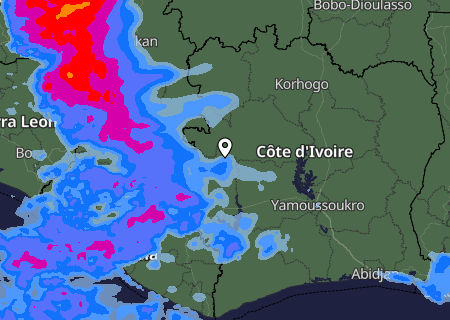 Niederschlagsprognose