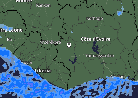 Niederschlagsprognose
