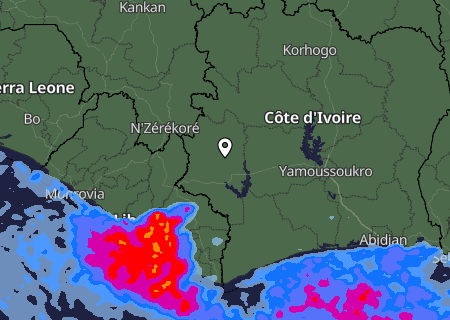 Niederschlagsprognose