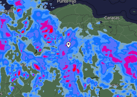 Niederschlagsprognose