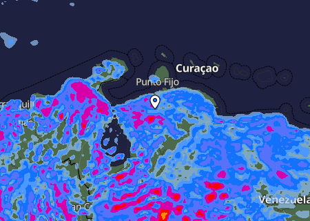 Niederschlagsprognose
