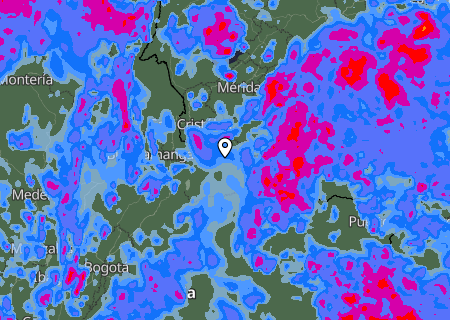 Niederschlagsprognose