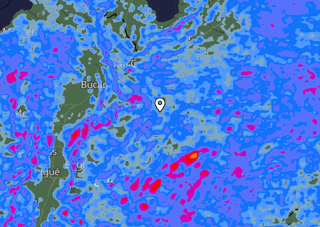 Niederschlagsprognose
