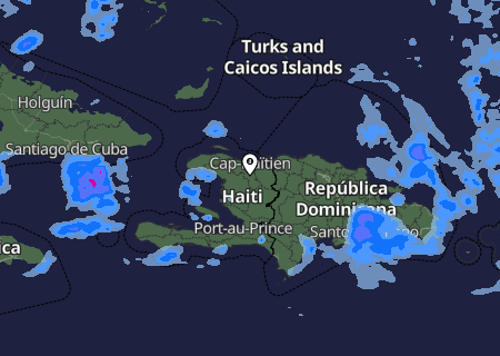 Niederschlagsprognose