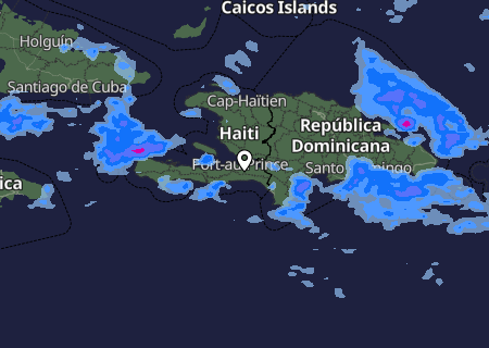 Niederschlagsprognose