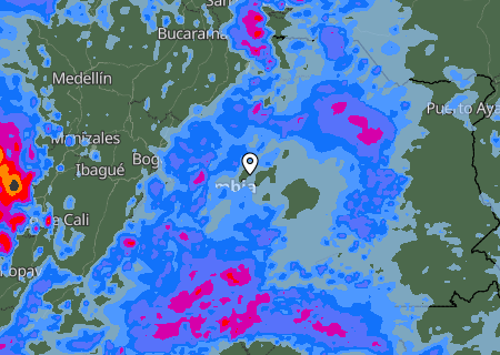 Niederschlagsprognose