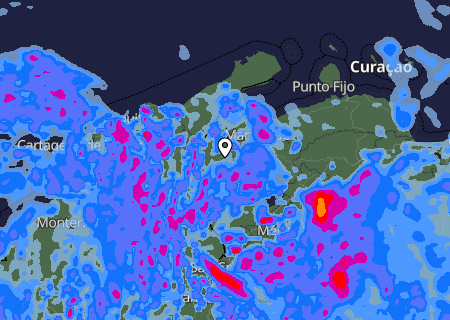 Niederschlagsprognose