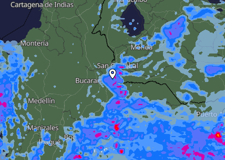 Niederschlagsprognose
